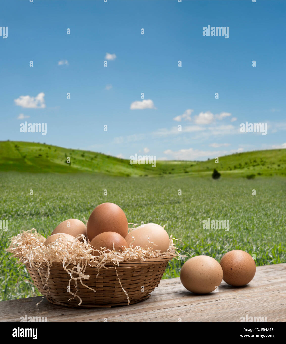 Gruppe von Eiern in Stroh Korb auf Holztisch mit Sommerlandschaft Stockfoto