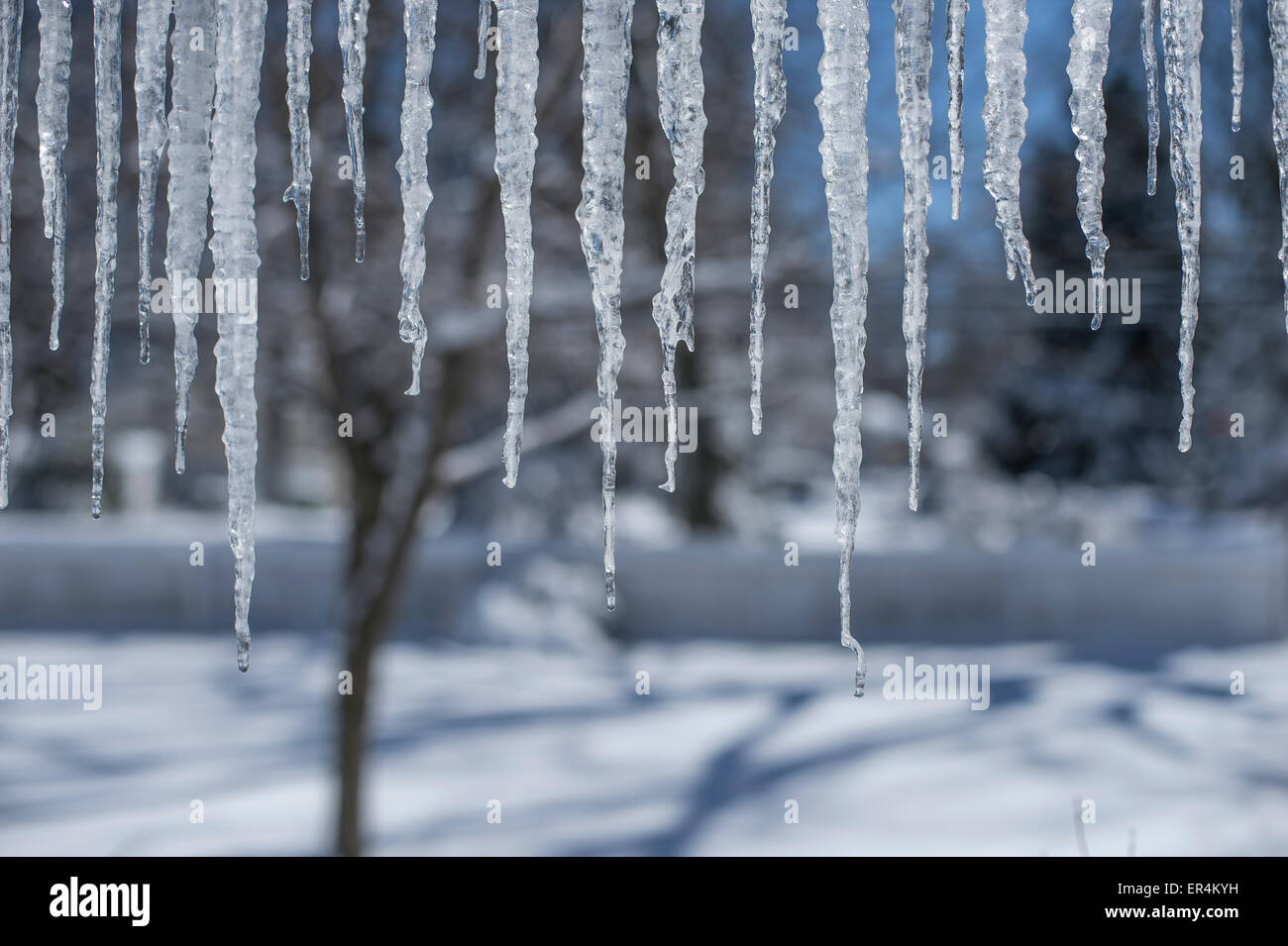 Eiszapfen, Winterlandschaft Stockfoto