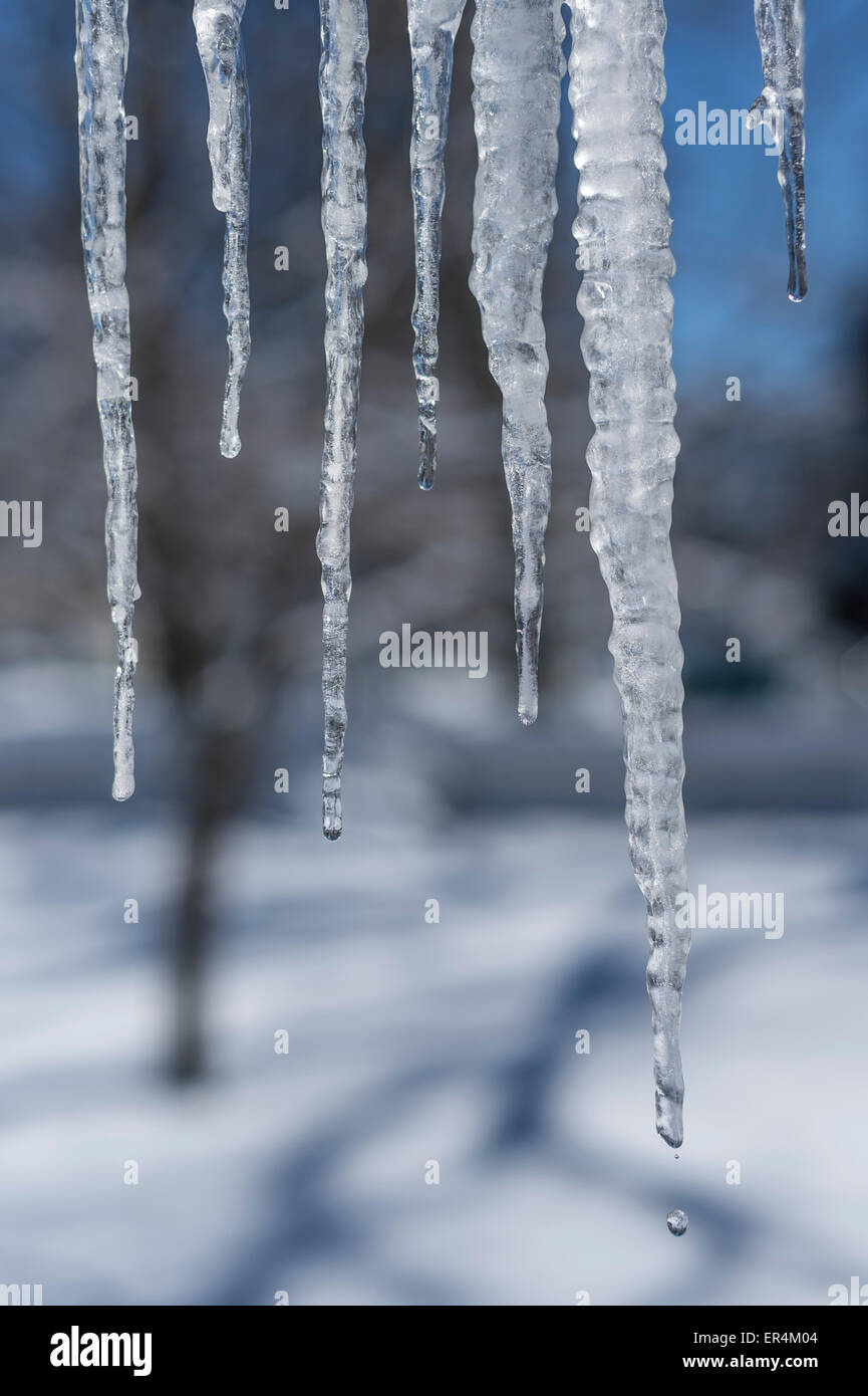 Eiszapfen, Winterlandschaft Stockfoto