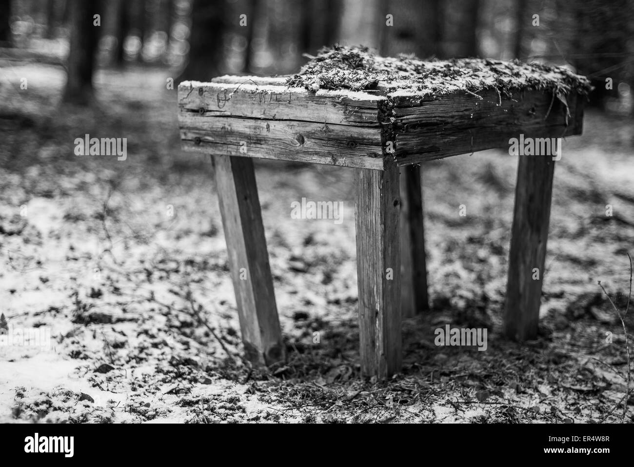 Alte verdorbene Holzbank im Wald Stockfoto