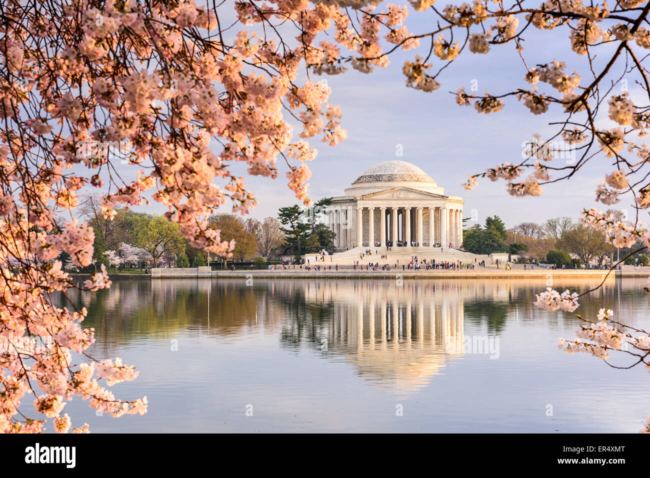Washington, DC am Tidal Basin und Jefferson Memorial im Frühjahr. Stockfoto