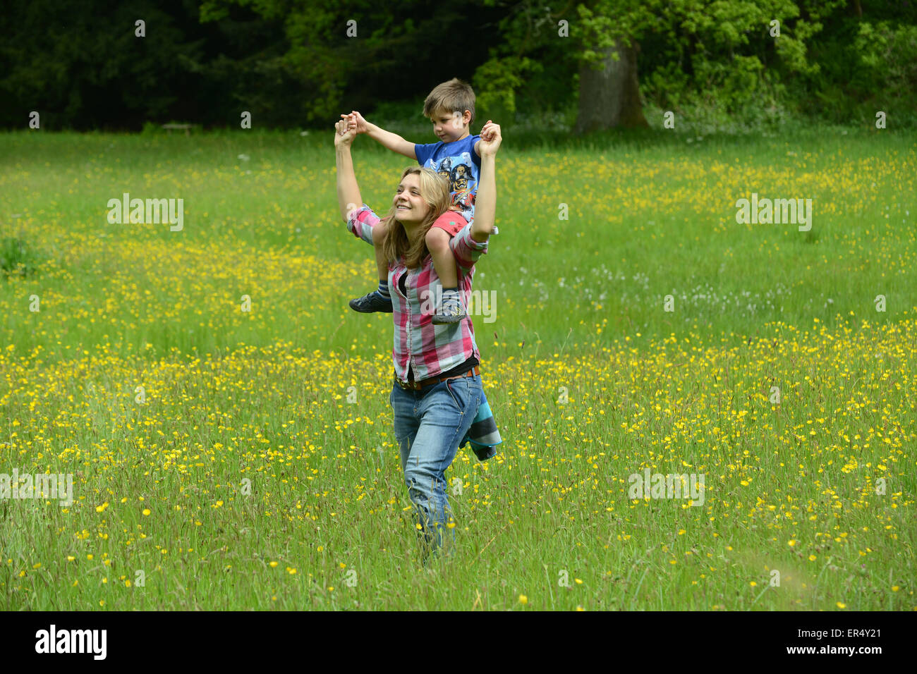 Frau Mutter und Kind zu Fuß durch Butterblume Wiese im Frühjahr Uk Stockfoto
