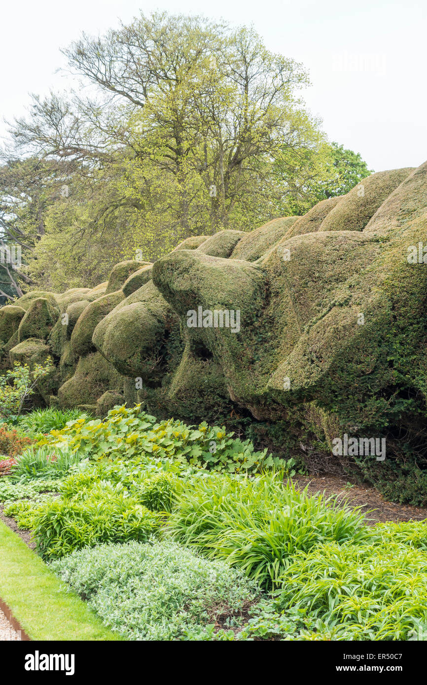 Ungewöhnliche zufällige Formschnitt Walmer Castle Garden Deal Kent Stockfoto