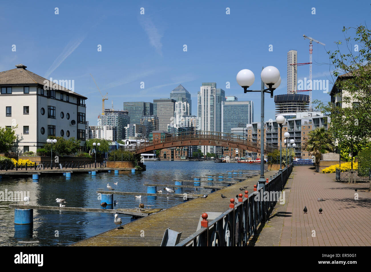 Neue Häuser an der äußeren Millwall Dock, Isle of Dogs, London UK, Blick auf Canary Wharf Stockfoto