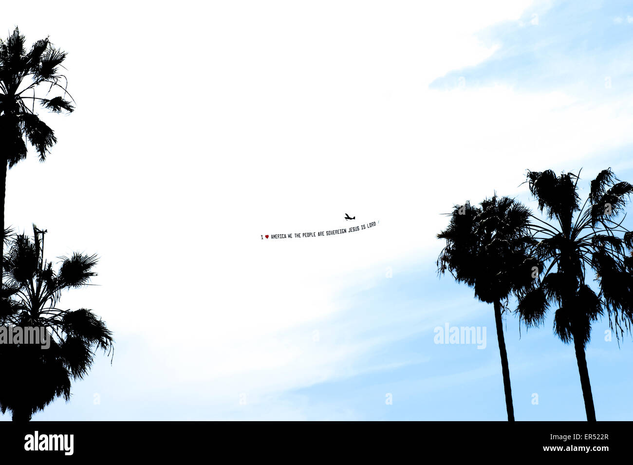 Flugzeug fliegen Palmen Abschleppen Werbebanner, im Vordergrund. Venice Beach, Kalifornien, USA. Stockfoto