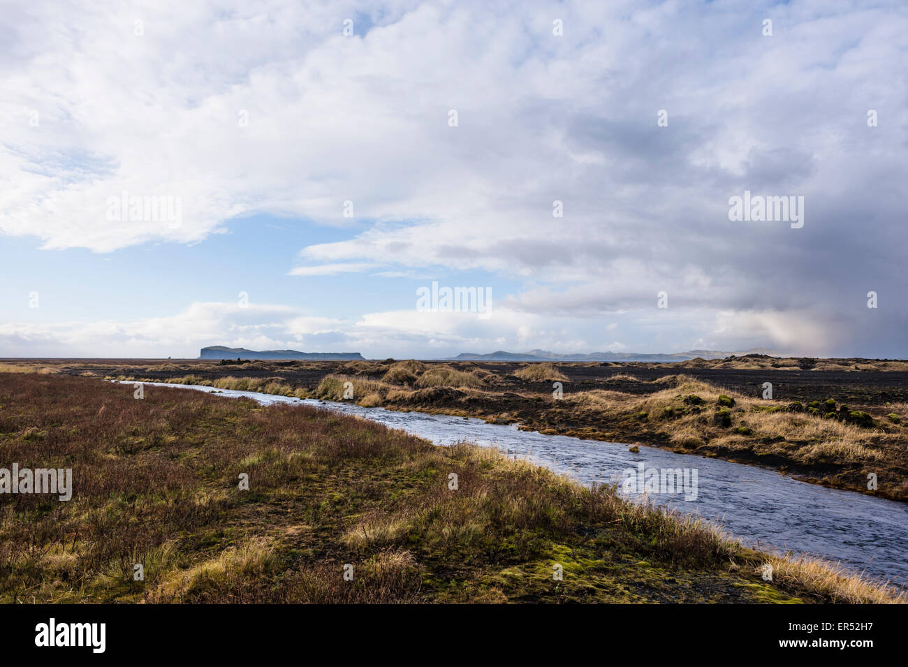 Island, Süd-Küste in der Nähe von Vik. Stockfoto