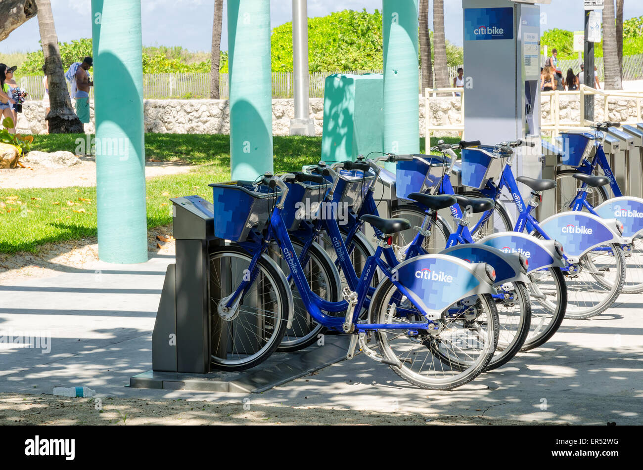 Miami Beach, Florida. blaue Fahrräder Stockfoto