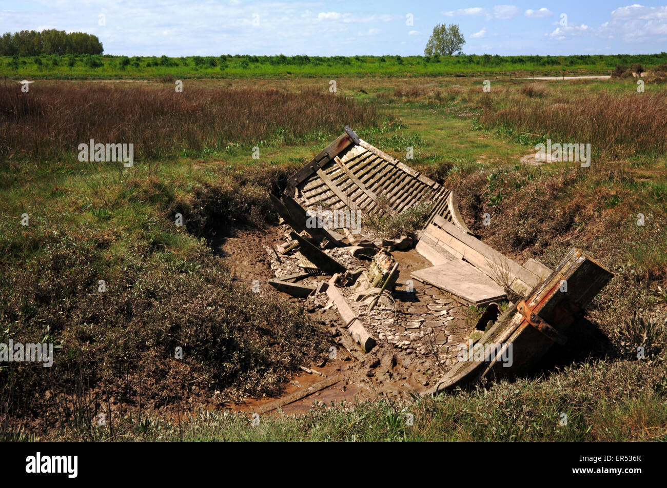 Der Rumpf von einem alten Fischerboot Fäulnis auf den Salzwiesen am Dornweiler, Norfolk, England, Vereinigtes Königreich. Stockfoto