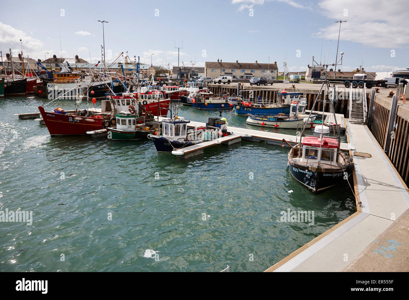 Kilkeel Fischerei Hafen Grafschaft, Nord-Irland Stockfoto