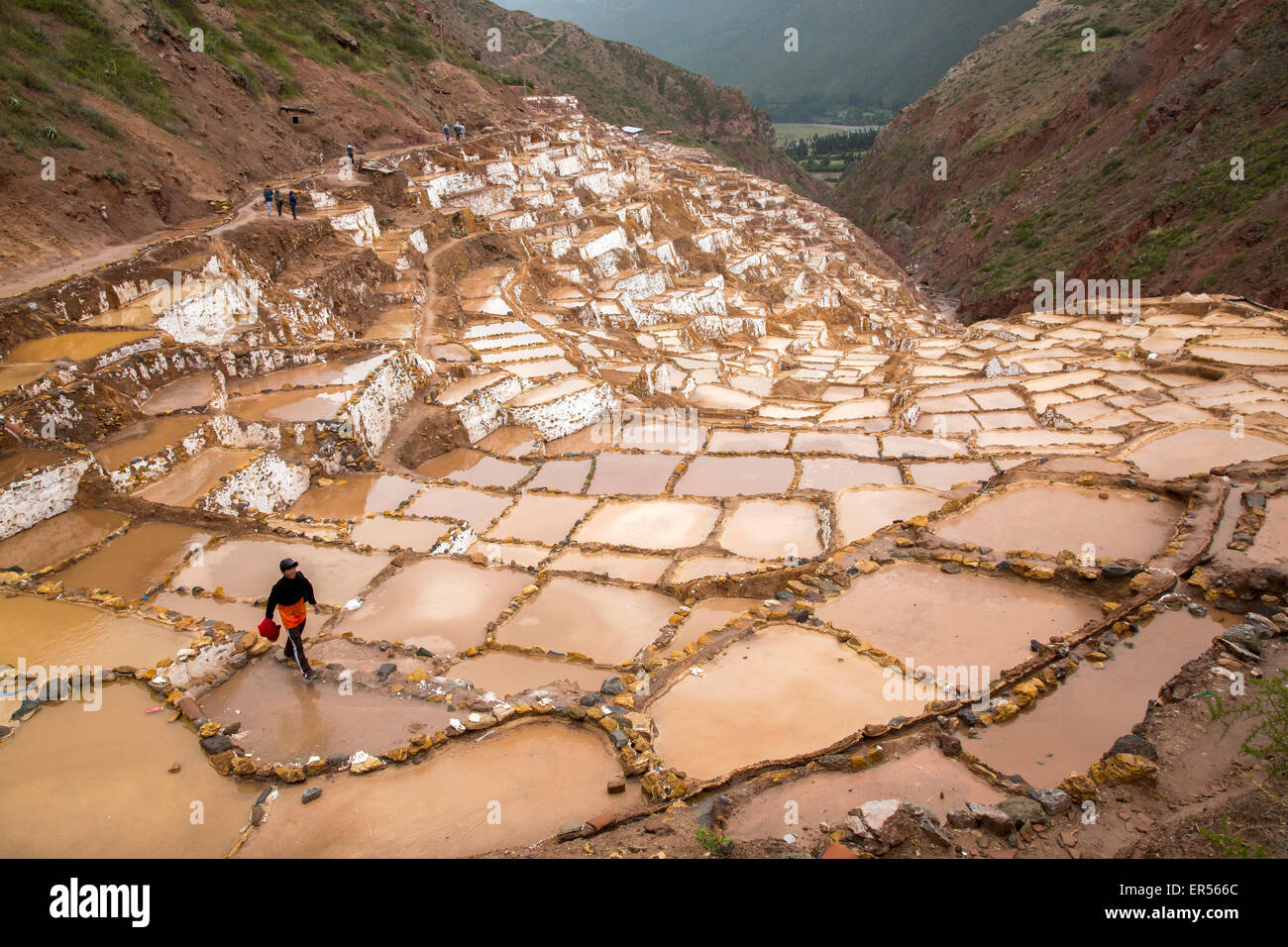 Salinas Salz Pools im Heiligen Tal, Peru Stockfoto