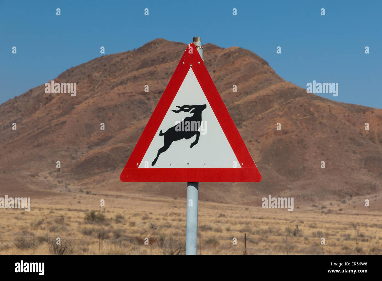 Roadsign Warnung für Antilope beim Überqueren der Straße in Afrika. Stockfoto