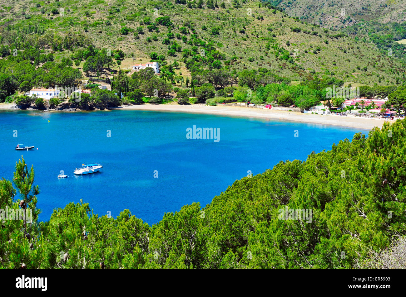 Spanien Rosen Stockfotos & Spanien Rosen Bilder - Alamy