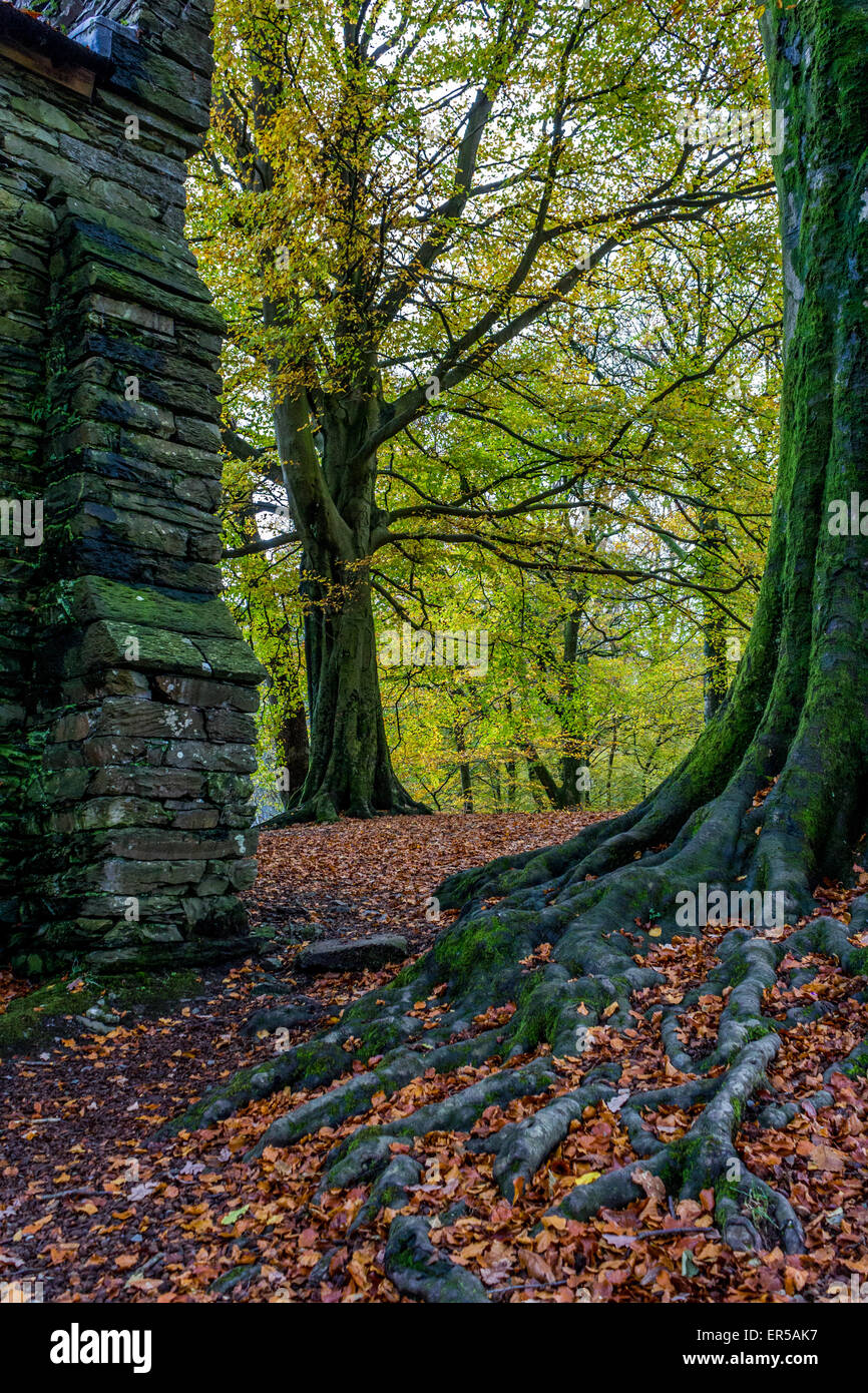Herbst im Lake District Stockfoto