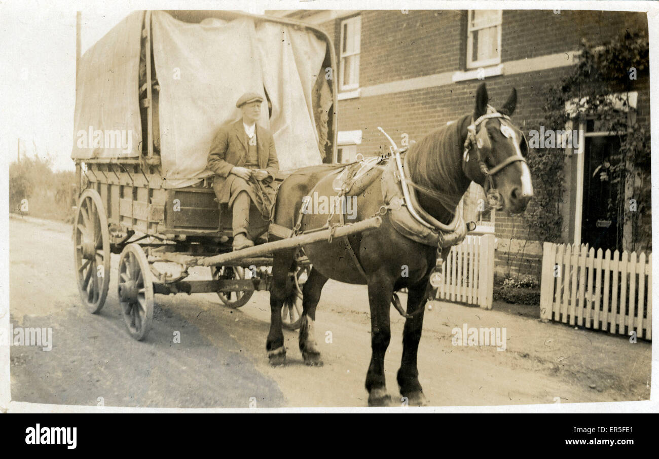 Pferd &amp; Lieferung Warenkorb, England.  1910er Jahre Stockfoto