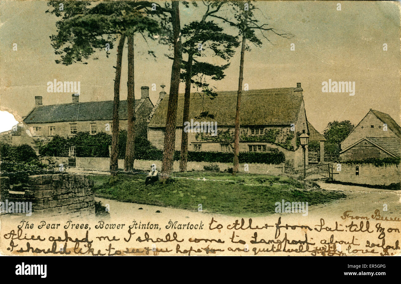 Die Birnen, Bower Hinton, Somerset Stockfoto