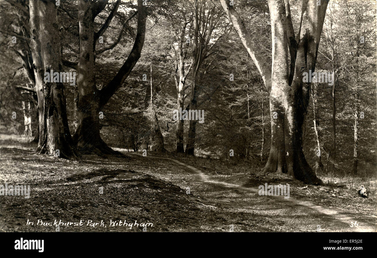 Buckhurst Park, Withyham, Sussex Stockfoto