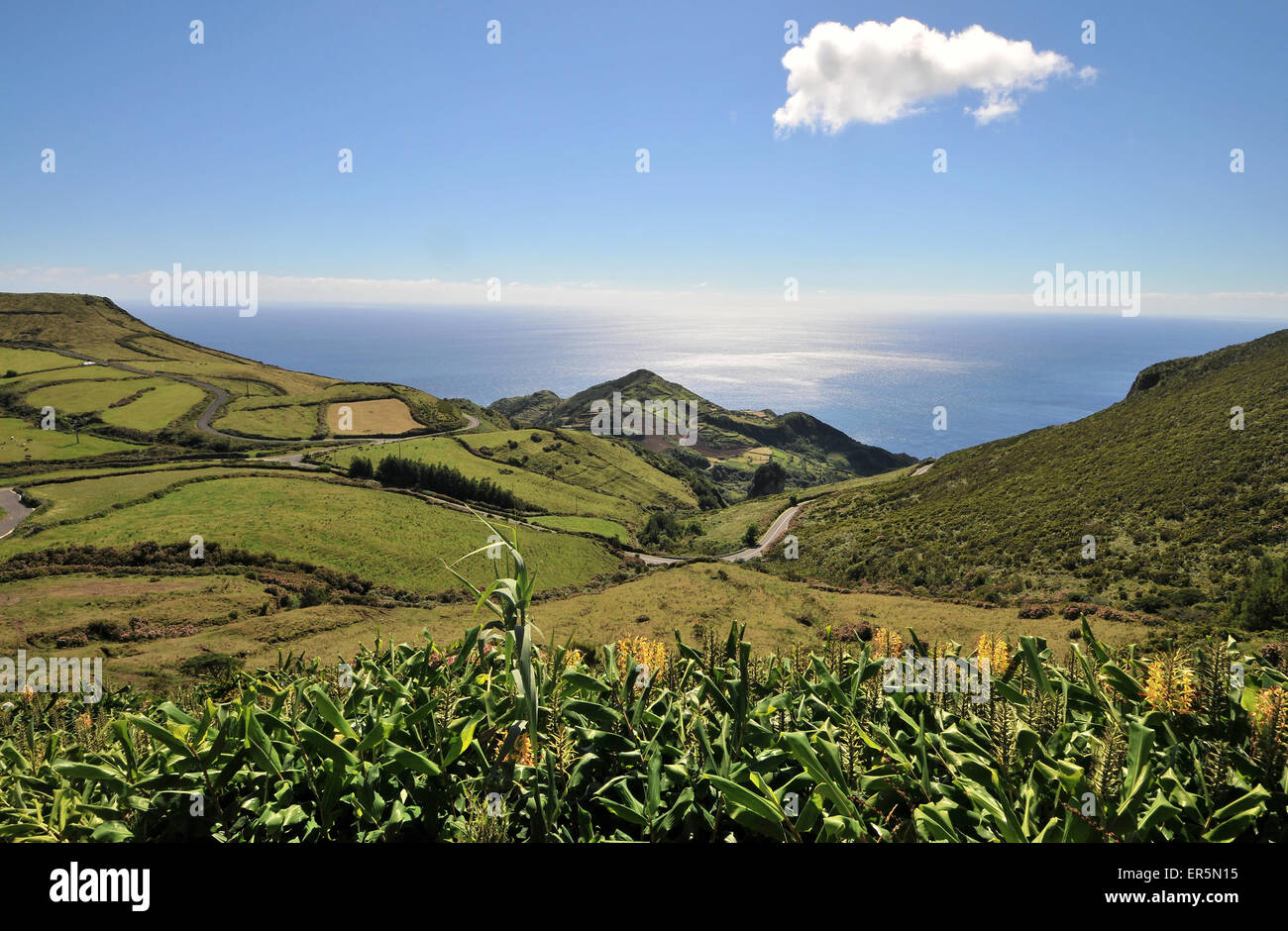 Küstenlandschaft in der Nähe von Lajedo, Südwest-Küste, Insel Flores, Azoren, Portugal Stockfoto