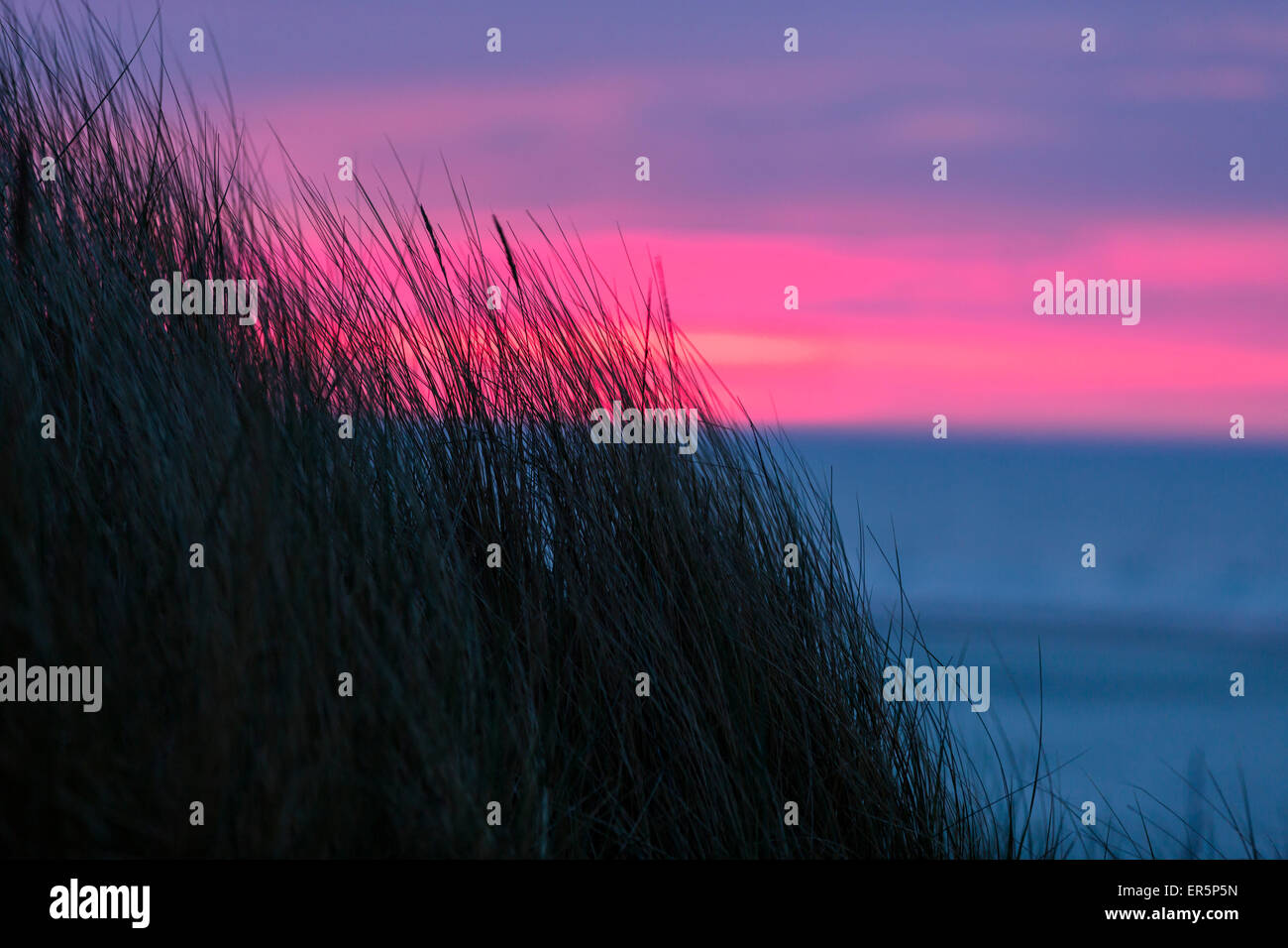 Düne mit Grass bei Sonnenuntergang, Nationalpark, Nordsee, Ostfriesischen Inseln, Ostfriesland, Niedersachsen, Deutschland, Europa Stockfoto