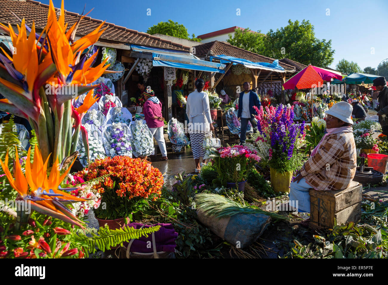 Blumenmarkt in Antananarivo, der Hauptstadt von Madagaskar, Afrika Stockfoto