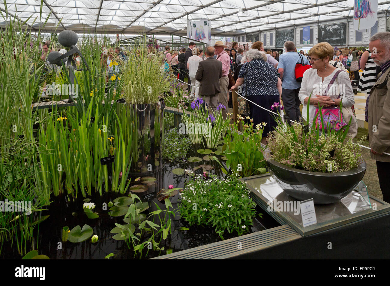 Wasser Anlagenbild im großen Pavillon auf der RHS Chelsea Flower Show 2015 Stockfoto