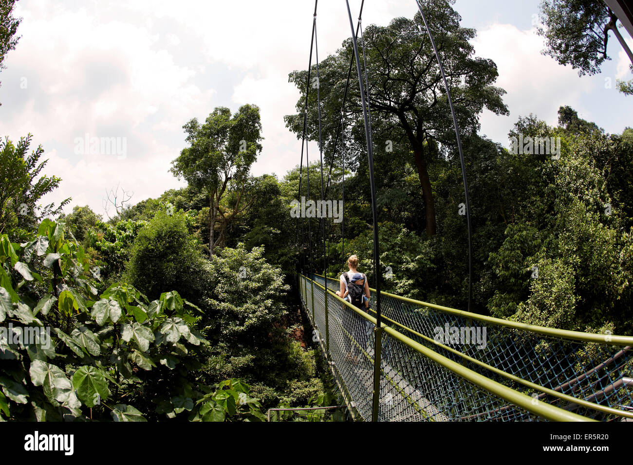 Mutter mit Sohn entlang einer HSBC Tree Top Walk, MacRitchie Reservat, Singapur Stockfoto