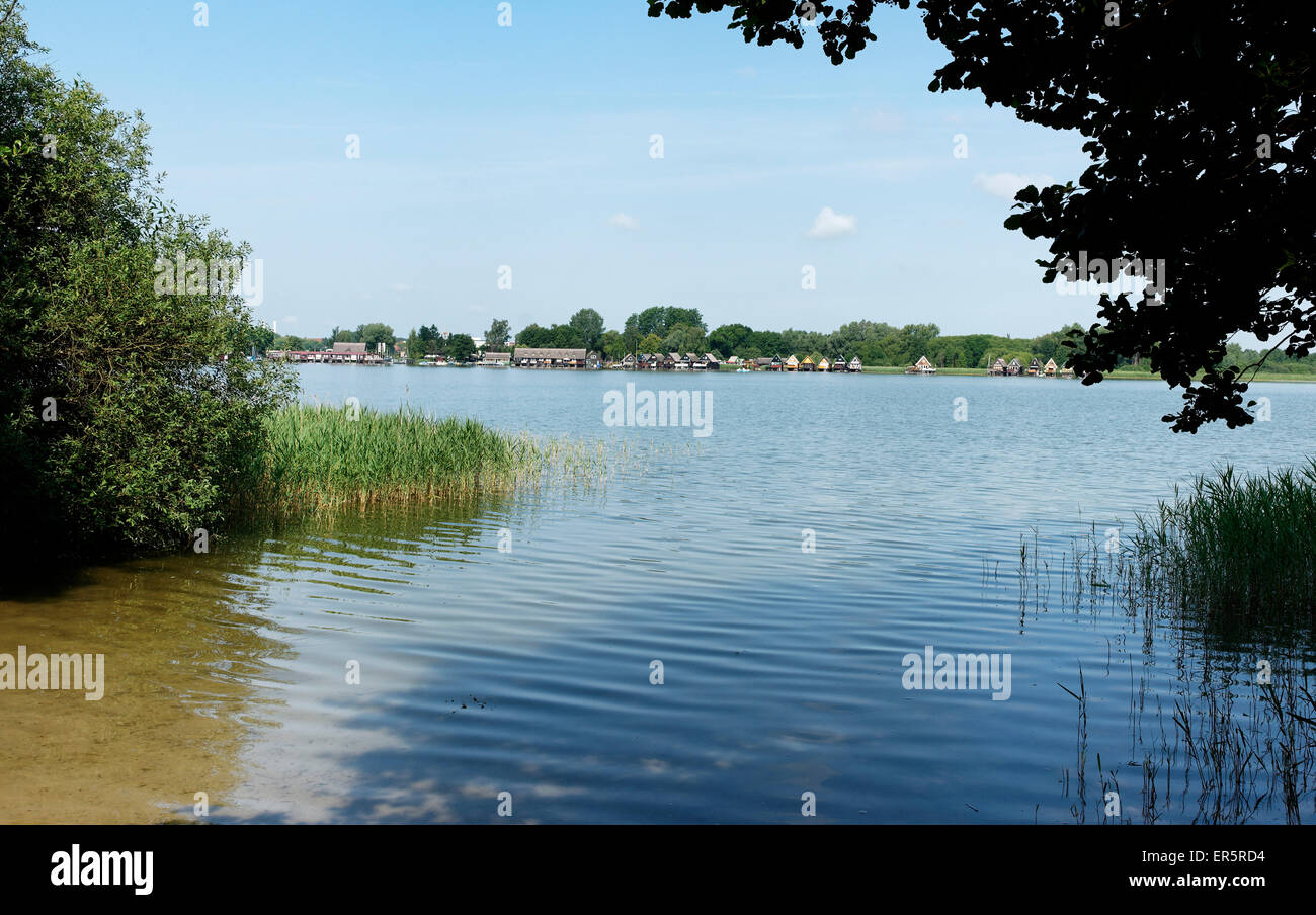 Inselsee, Güstrow, Mecklenburg-Western Pomerania, Deutschland Stockfoto