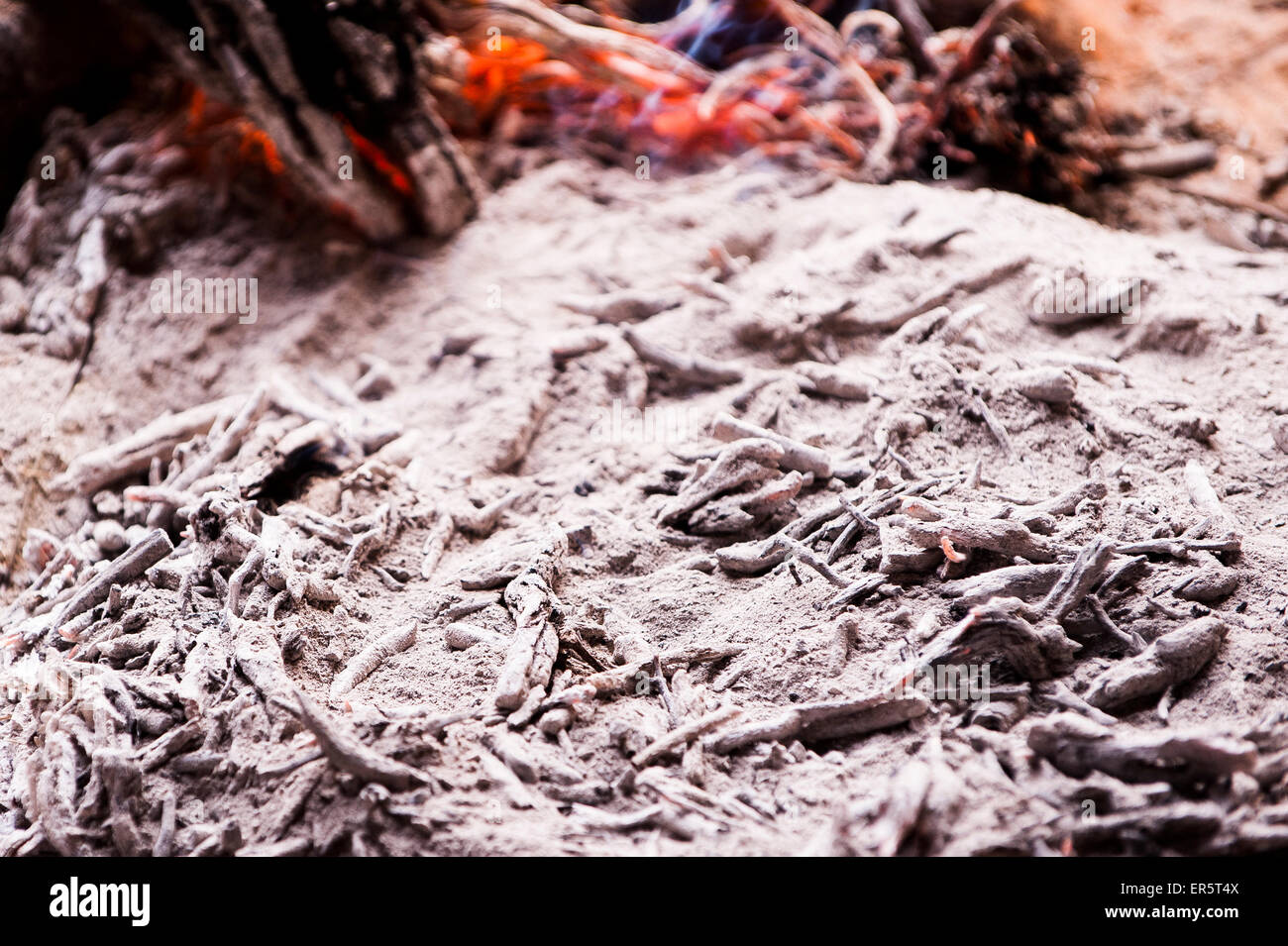 Brot bedeckt mit Asche in einem Beduinenzelt, Wadi Rum, Jordanien, Naher Osten Stockfoto