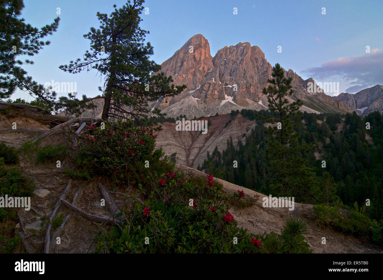 Sass Putia Peitlerkofel gesehen von Wurzjoch bei Sonnenuntergang, Val di Funes, Dolomiten, Südtirol, Südtirol, Oberitalien Stockfoto