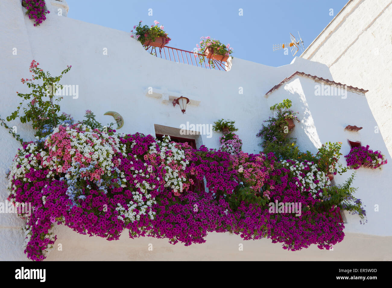Blumen auf einem Balkon in der historischen Stadt Zentrum von Monopli, Adria, Provinz Bari, Apulien, Italien, Europa Stockfoto