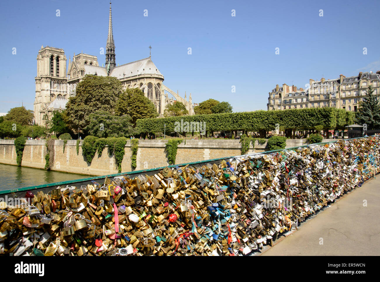 Liebesschlösser auf der Brücke Pont de L'Archeveche vor der Kathedrale Notre Dame, Paris, Frankreich, Europa Stockfoto