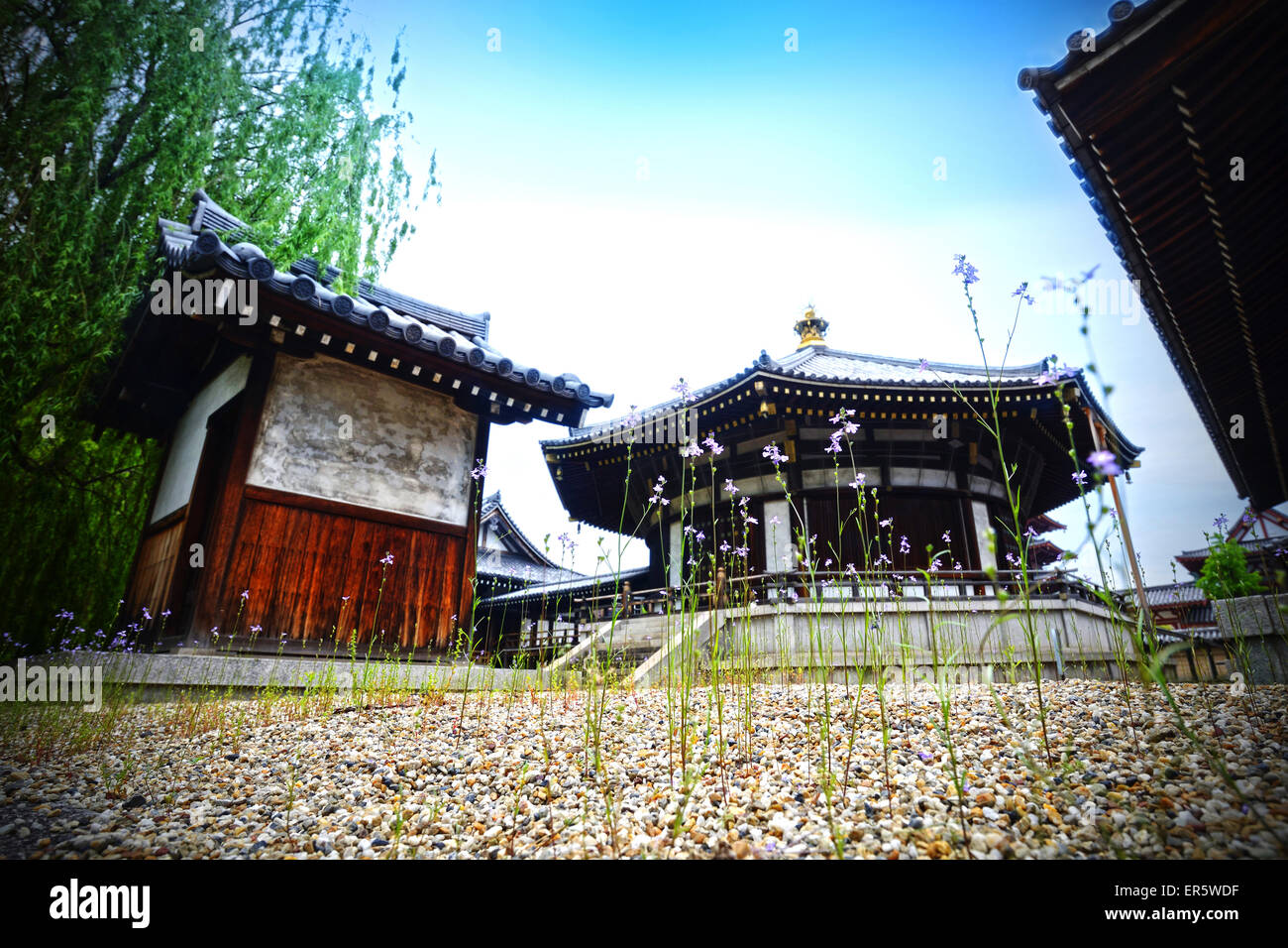 Die Kombination aus den japanischen Garten im historischen Teil des Hauses und Gebäude im Shitennoji-Tempel. Stockfoto