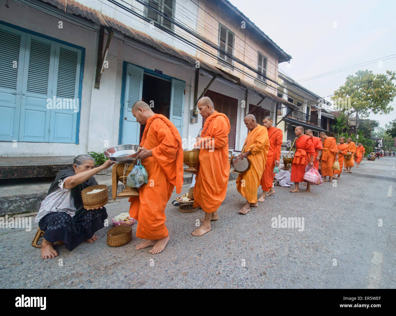 Mönche auf ihre Morgen Almosen Runden in Luang Prabang, Laos Stockfoto