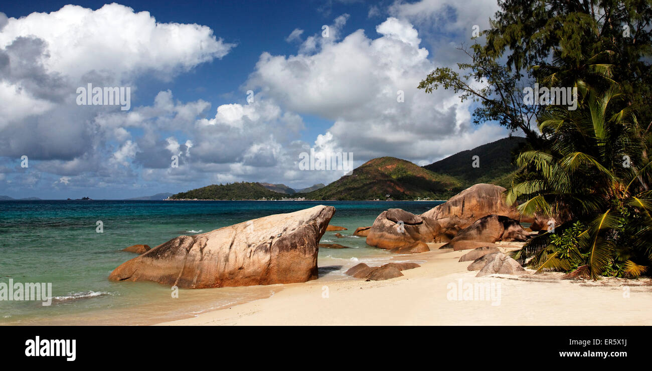 Tropischer Strand mit Palmen, Anse Boudin, Praslin, Seychellen, Indischer Ozean Stockfoto