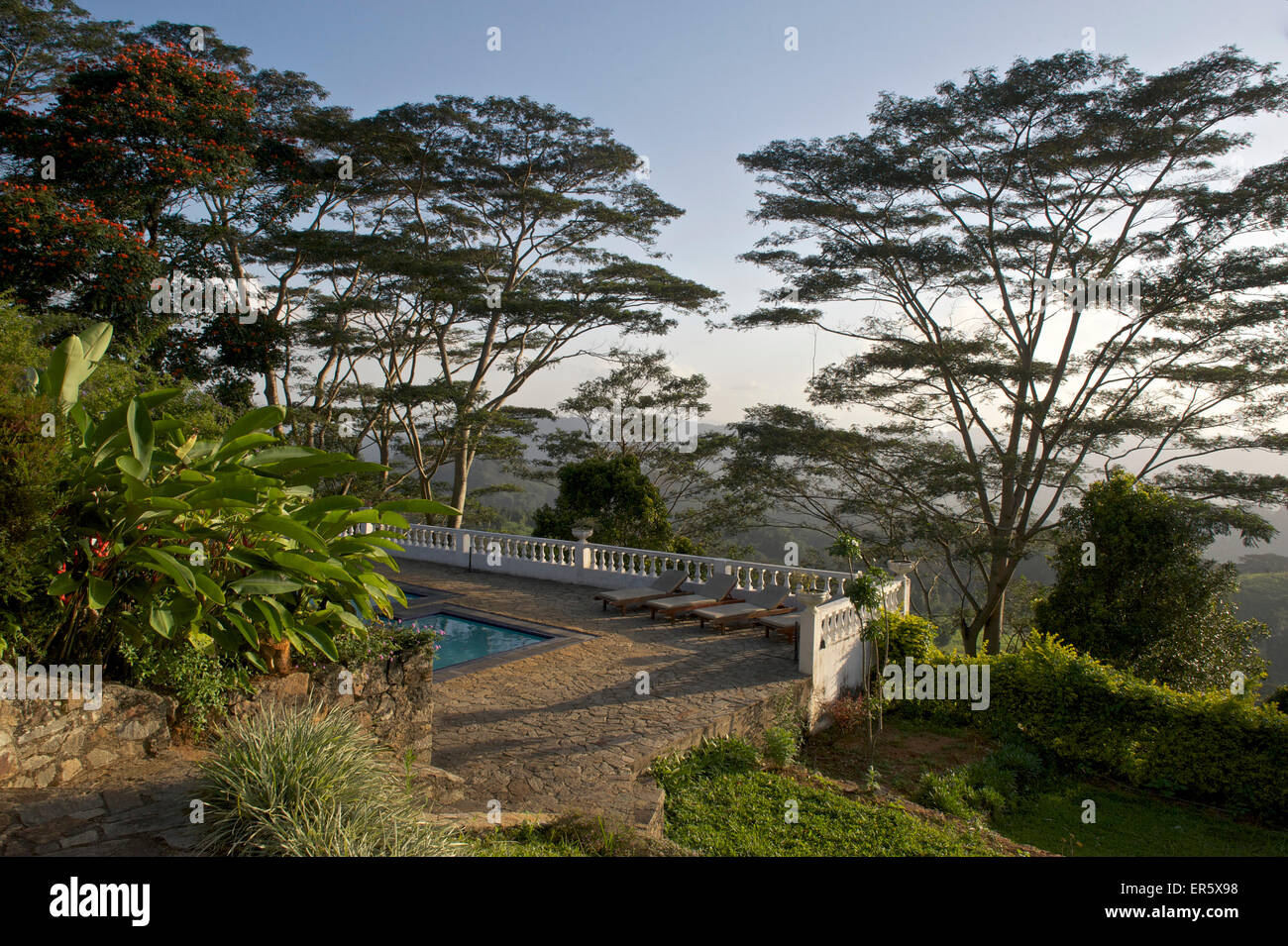 Pool mit riesigen Bäumen im Ashburnham Estate, Hotel in einem ehemaligen Administratoren Haus, Elkaduwa, Knuckles Range in der Nähe von Kandy, Hoch Stockfoto
