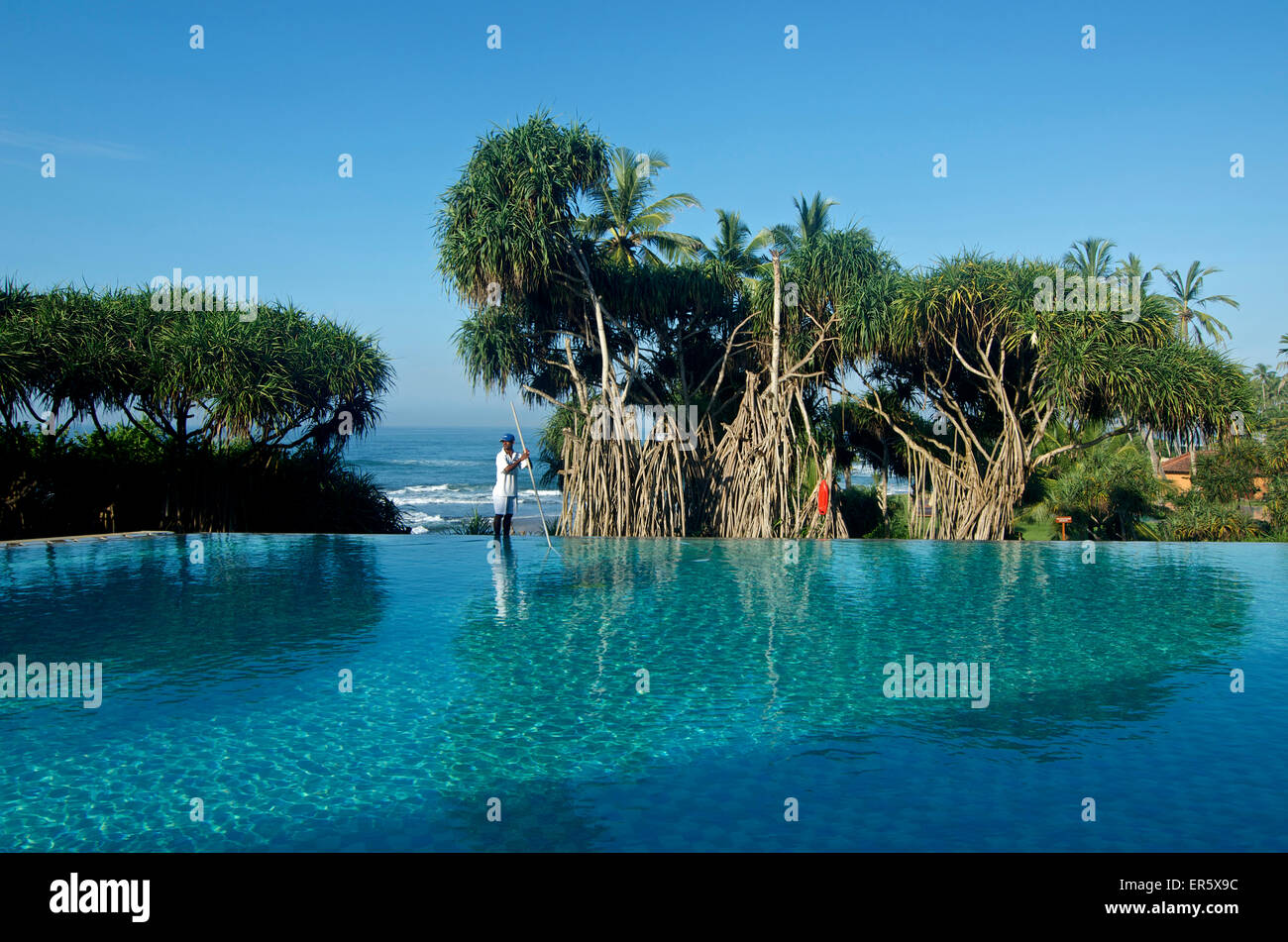 Unendlichen Pool mit Yucca-Palmen und Blick auf das Meer, Hotel Jetwing Lighthouse, Südwestküste, Sri Lanka Stockfoto