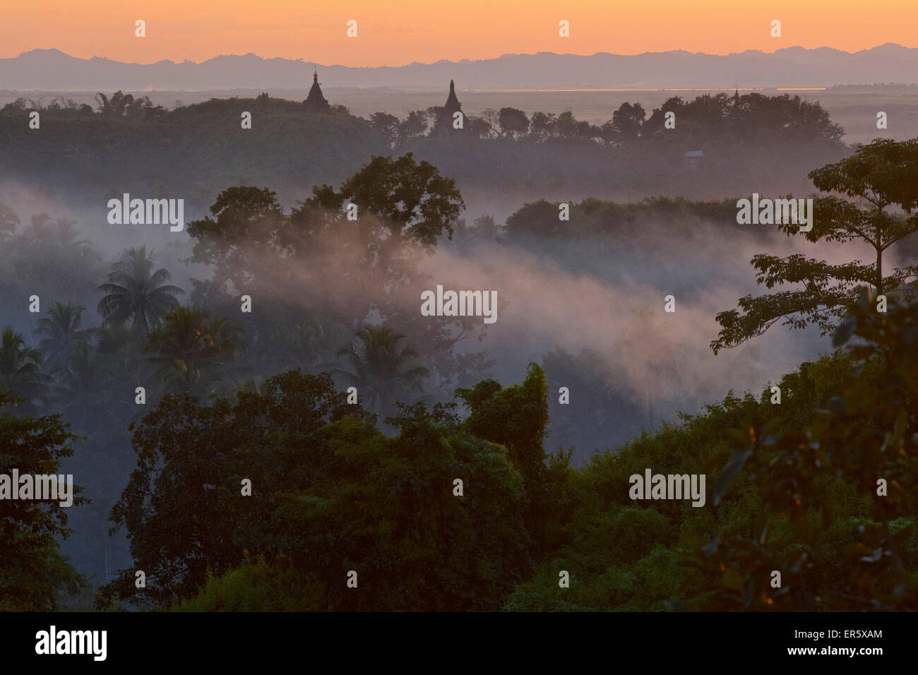 Blick über Hügel Hügel und Pagoden im Abend Nebel in Mrauk U, Myohaung nördlich von Akyab, Rakhaing-Staat, Arakan, Sittwe, M Stockfoto