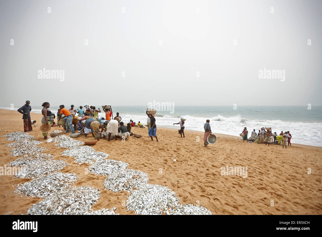 Frau und Kinder Auswahl Schleppnetz Fisch fangen an Strand, Grand-Popo, Mono-Abteilung, Benin Stockfoto
