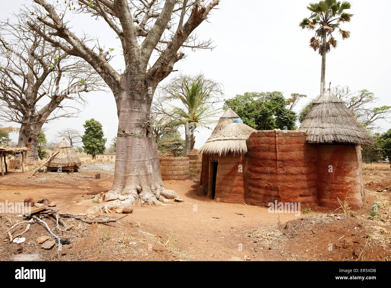 Traditionelle Lehmhaus im Bereich der Somba Stamm, Koussoucoingou, Departement Atakora, Benin Stockfoto