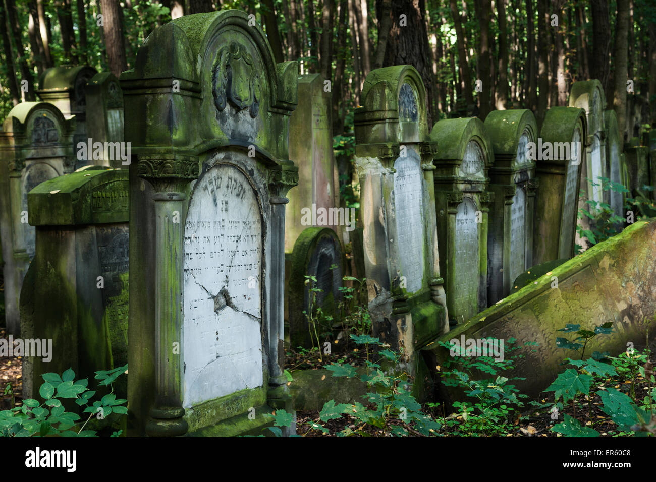 Massengräber der Opfer des Warschauer Ghettos während Holocaust in bewaldeten jüdischer Friedhof, Warschau, Polen, Europa Stockfoto