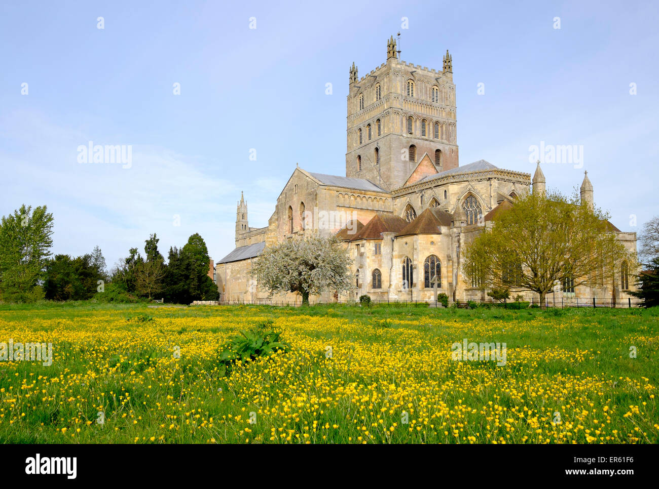 Die Abtei Kirche St Mary die Jungfrau, Tewkesbury, Gloucestershire, England Stockfoto