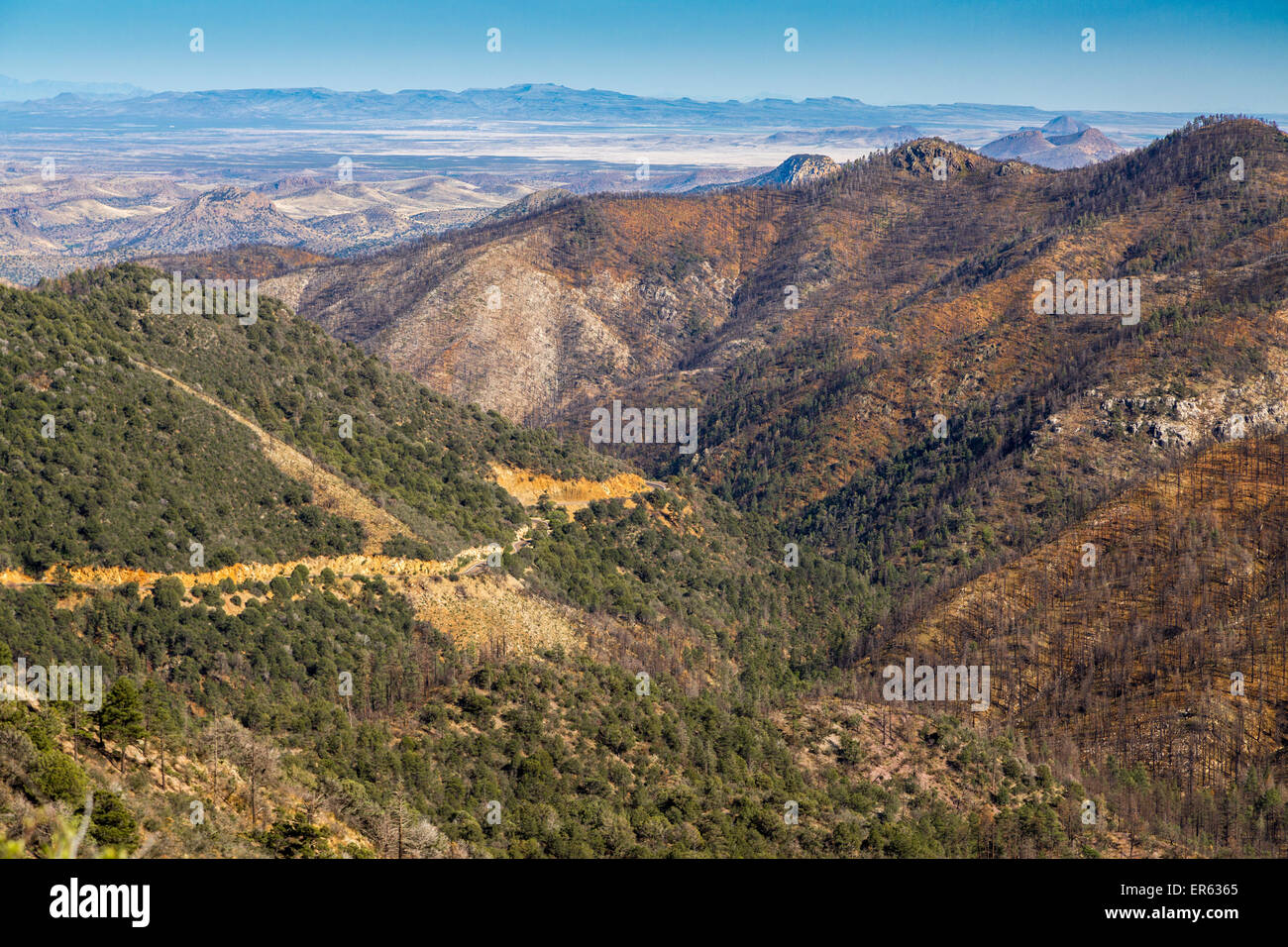 Berglandschaft in Sierra County, Wüstenebene hinter sich, in der Nähe von Silver City, New Mexico, USA Stockfoto