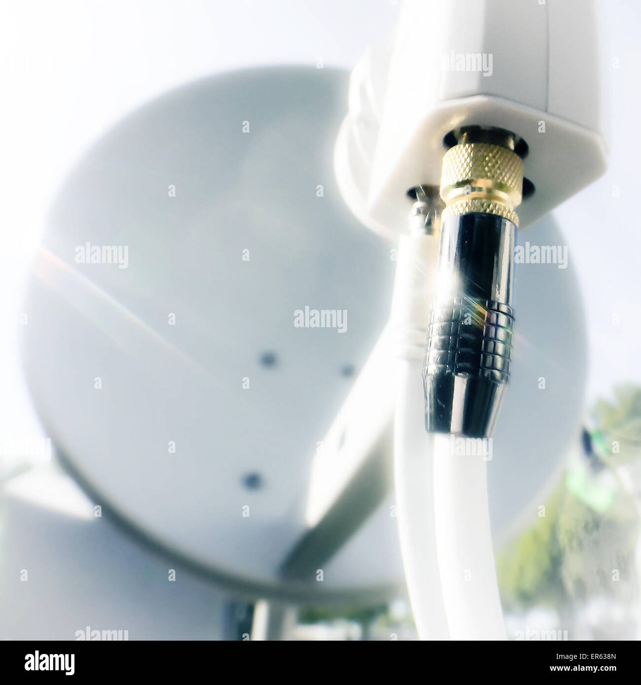 Standard-Antenne-Gericht Stockfoto
