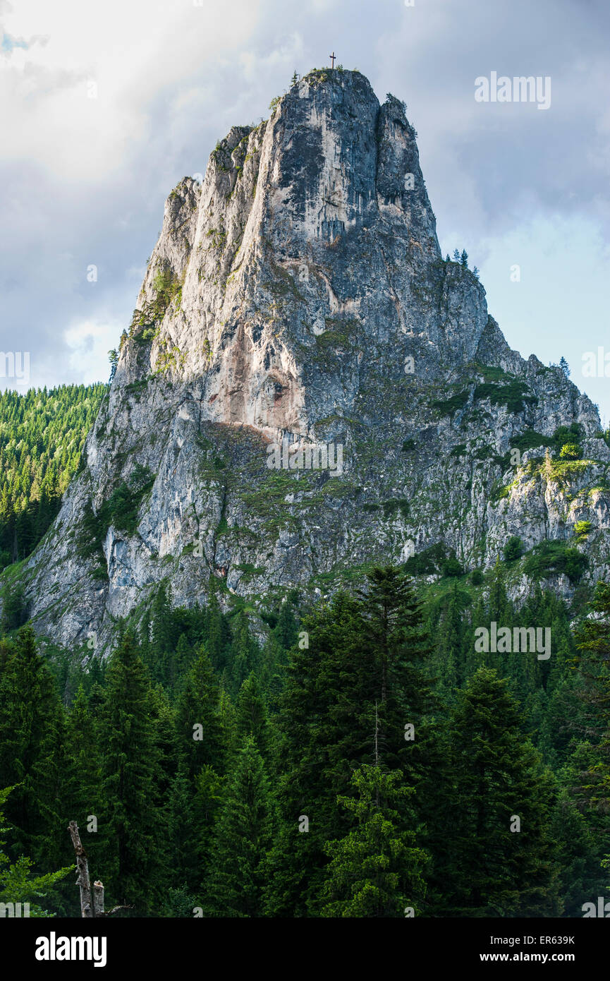 Klippe, Cheile Bicazului-Hășmaș Nationalpark, Karpaten, Rumänien Stockfoto