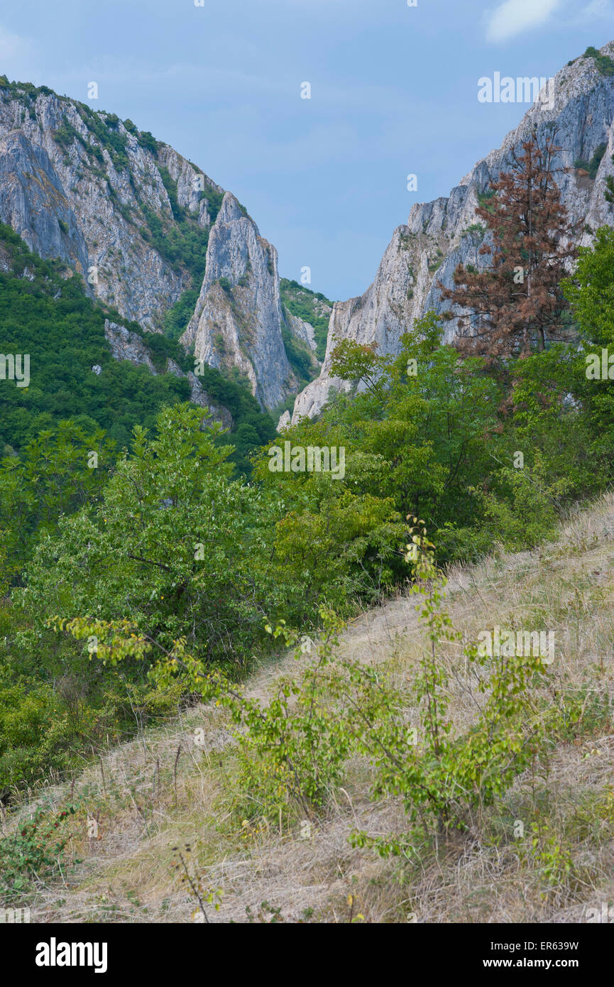 Cheile Turzii oder Turda Schlucht, Trascău Gebirge, Siebenbürgen, Rumänien Stockfoto
