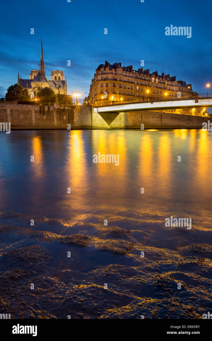 Kathedrale Notre-Dame entlang Seine, Paris, Frankreich Stockfoto