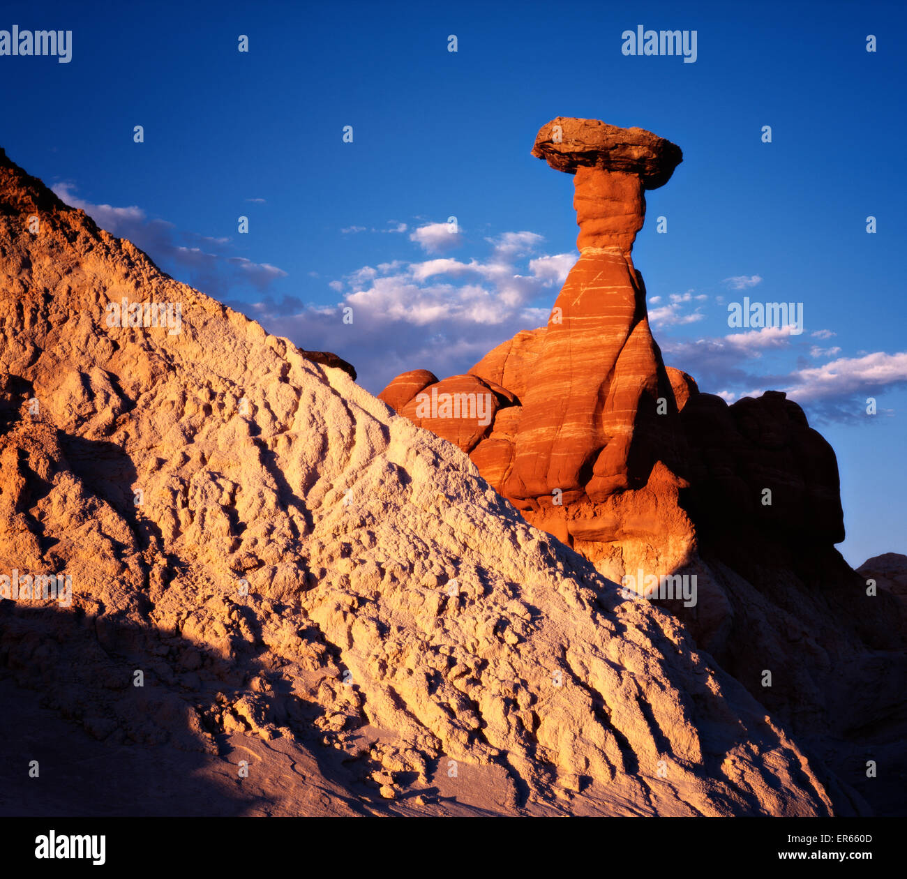 Paria Rimrocks, Utah. Ich nahm dieses Bild mit einer großformatigen Kamera 4 x 5'. Stockfoto