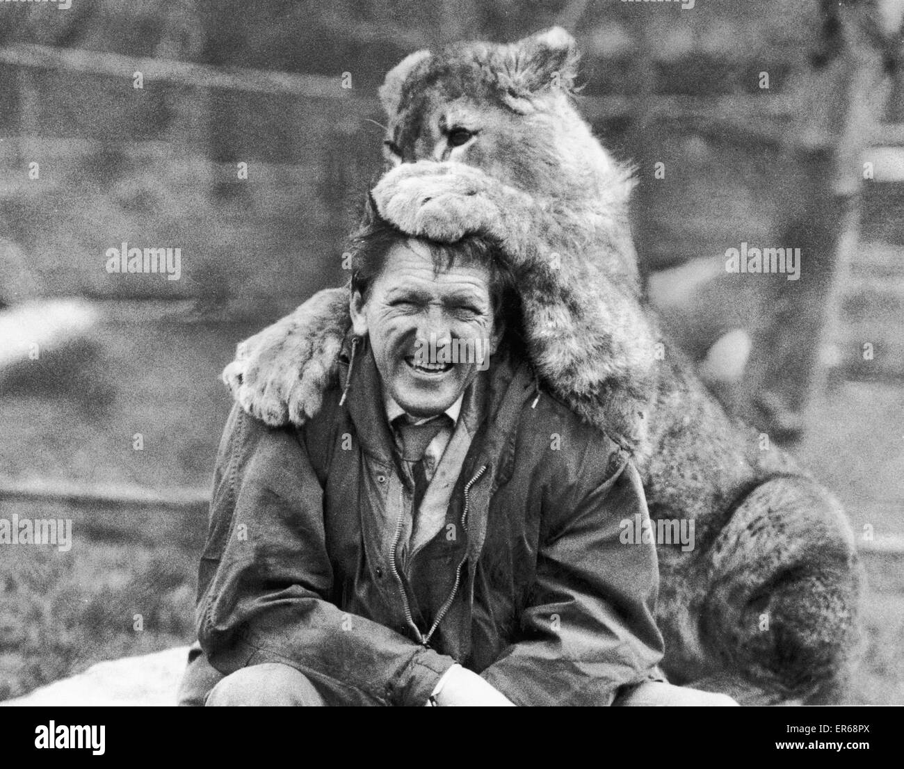 Blanco war nur einen Tag alt Whe seine Mutter ihn verlassen. Also Zoo-Manager Peter Grayson nahm die Baby Leopard in seinem Haus und Hand fütterte ihn. Jetzt Blanco ein gesundes ist 18 Monate alt, und eine der Attraktionen im Belle Vue, Manchester. 8. Mai 1976 Stockfoto