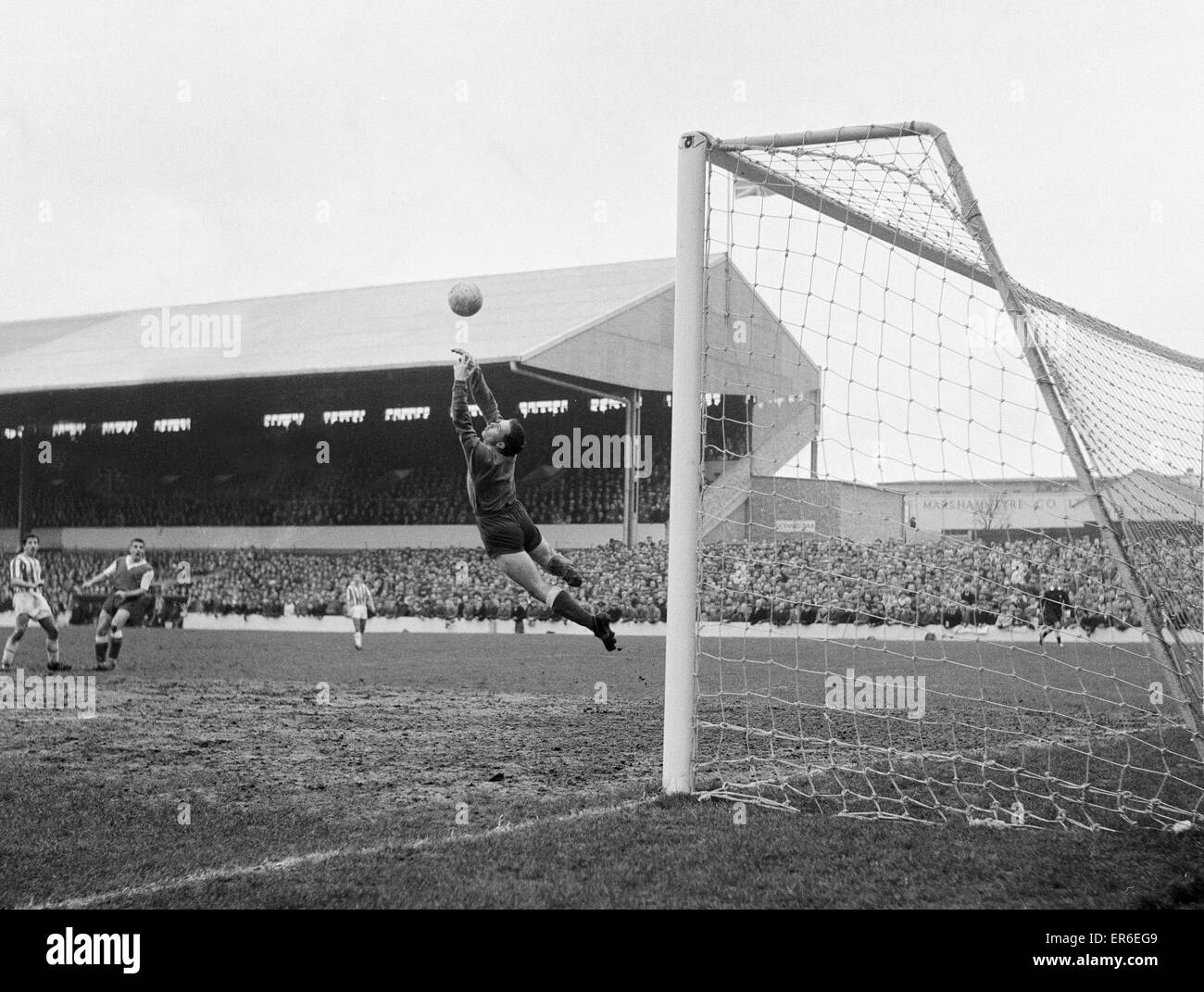 Rotherham United Torwart Ron Ironside blockt den fliegenden während des Spiels gegen Brighton und Hove Albion. 3. Februar 1960. Stockfoto