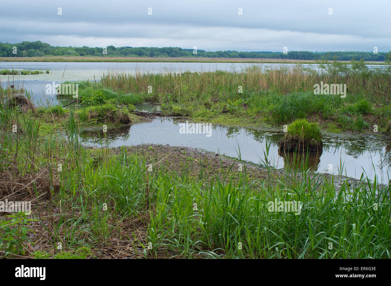 Minnesota-Tal-Wildreservat an Wasser und Wald von Gun Club See und Minnesota River Bottoms Mendota Heights und blo Stockfoto