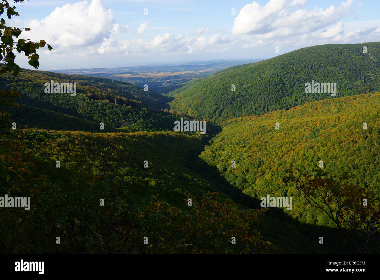 Bewaldete Hügel in Bükki Nemzeti Nationalpark, Ungarn Stockfoto